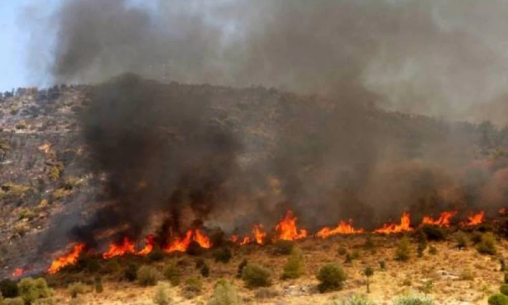 Φωτιά σε δασική έκταση στο Βασιλίτσι Μεσσηνίας